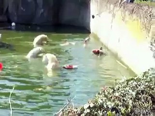Tourist experiences trouble in Florida beach resorts and condos  - Oiiilala