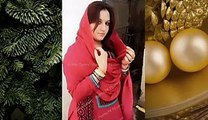 punjabi sad poetry meddana ishq wich piyer da boota laha si poet waqas pannu vioce waqas pannu