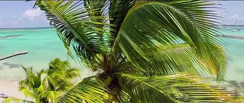 Nos Villas de luxe filmées par des drones au dessus du Lagon de Guadeloupe