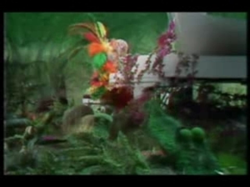 Crocodile Rock - muppets show