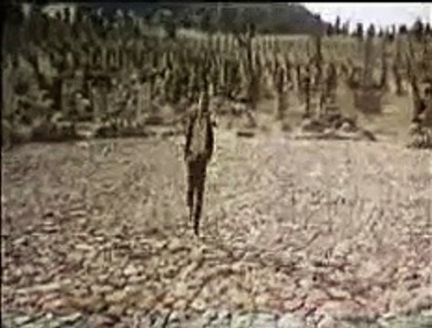 Il buono, il brutto e il cattivo