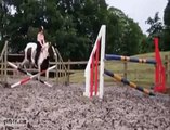 Horse jumping fail Clip