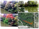 Monocular Vision Based Navigation (SLAM) of Drones Flying in a Riverine Environment