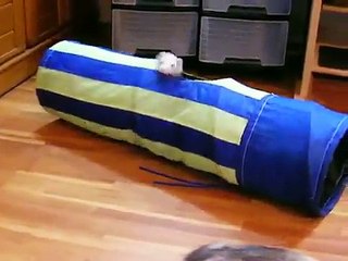 Elizabeth Vol.26 July 15, 2007