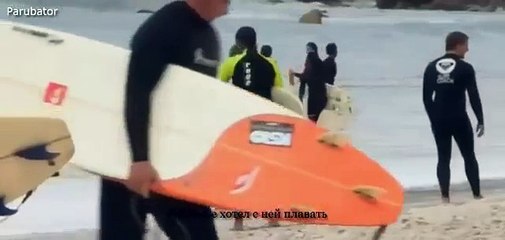 АКУЛА НАПАЛА НА ЧЕЛОВЕКА