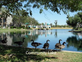 David Schmid | 8989 N Gainey Center Drive, Unit 108, Scottsdale, AZ 85258