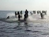 Galop dans la mer avec des chevaux camarguais sur la plage en camargue.