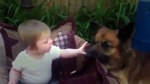 Funny Videos Funny Cats Funny Babies Laughing Funny Animals Videos Funny Dogs 2015