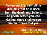 The Gospel according to St. Matthew - Chapter 28