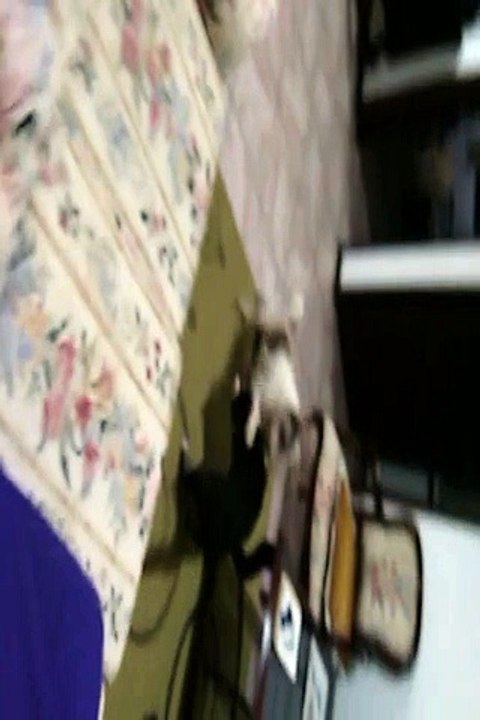VID_20150711_210638