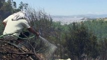 Incêndios tomam conta de áreas florestais em Atenas
