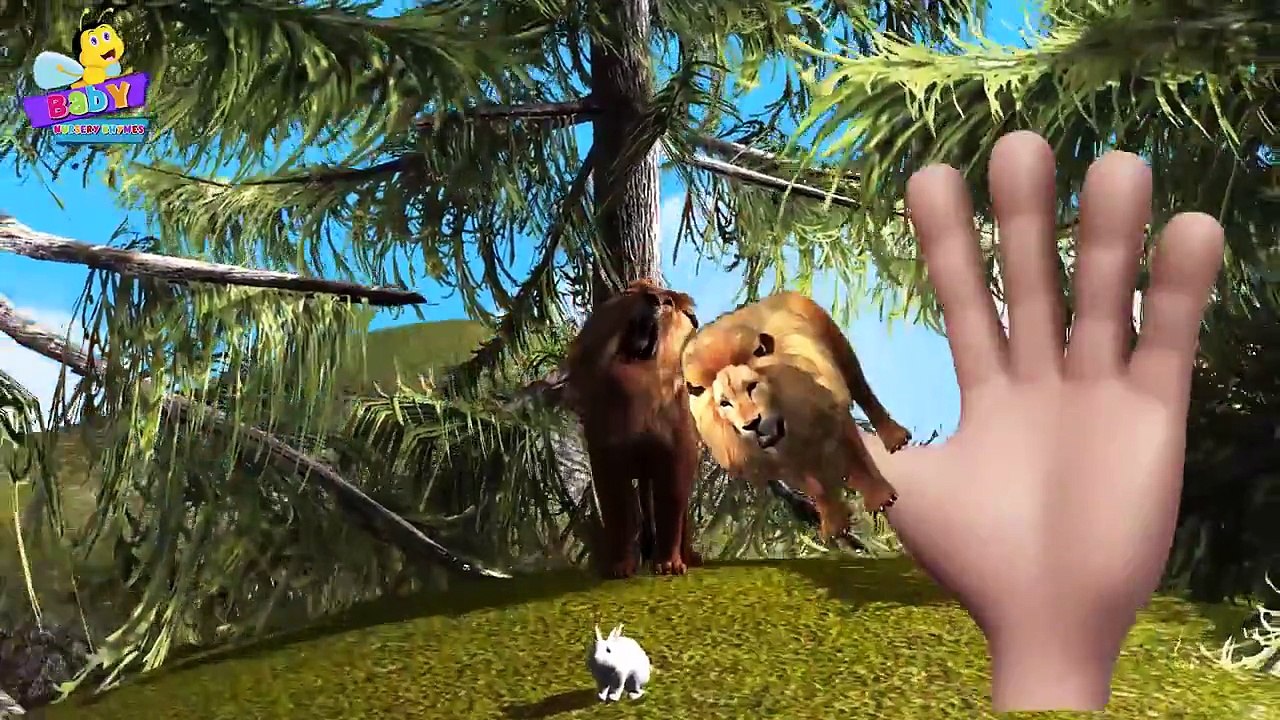 Lion Finger Family 3D | Animals Cartoons Finger Family Children Nursery Rhymes