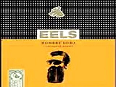 Eels - That look you give that guy.mp4