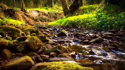 107- Maûn Sûresi / The Daily Necessar (Ahmet el Acemi) HD