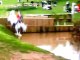 cross country water jump horse falls