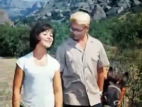 Песня про Медведей Где-то на белом свете