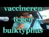 LSO: Op vakantie: Vaccineren tegen de tiefus: Hoe werkt dat?