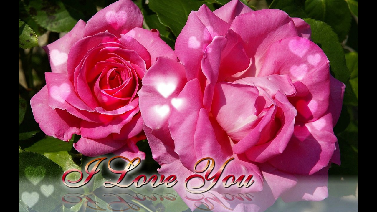Teen and Young Lovers Wallpapers