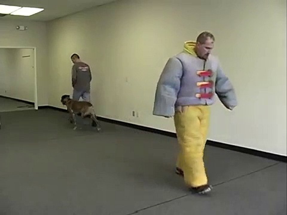 Mans Best Friend dog training personal protection training