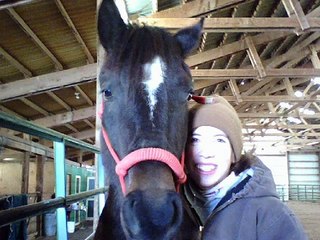 Phoenix Equine Rescue and Rehabilitation Center