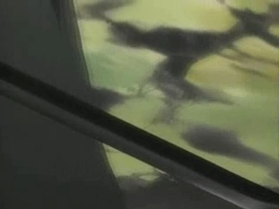Bleach AMV Zone07