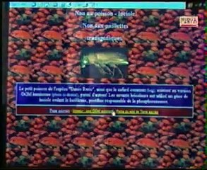 Présentation de l'association Terre sacrée