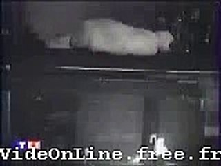 Un chat fait la sieste au mauvais endroit