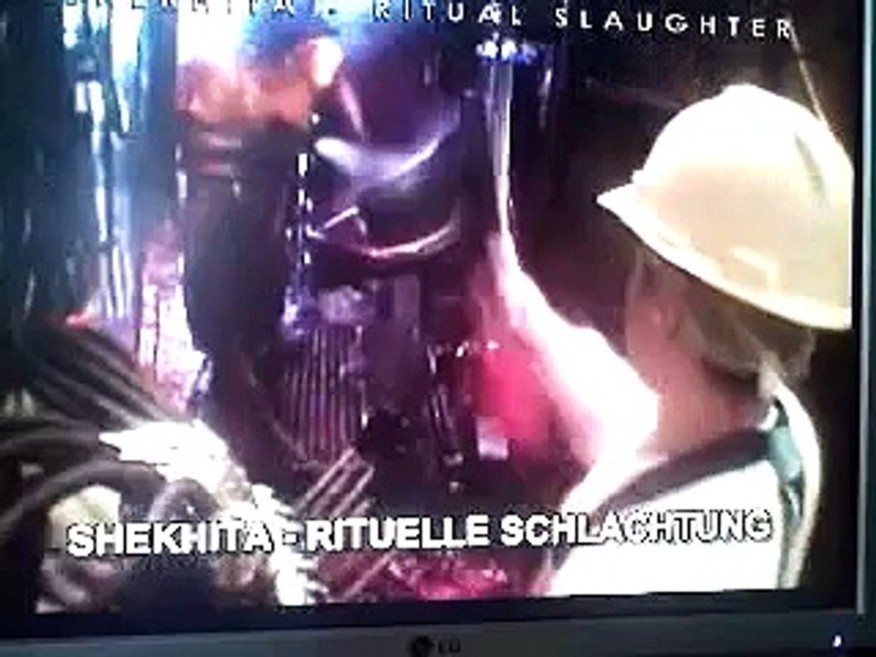 Kosher slaughter (Earthlings)