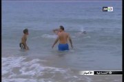 قناديل البحر تهاجم المصطافين بشمال المغرب