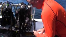 Lionfish Culling in the Cayman Islands