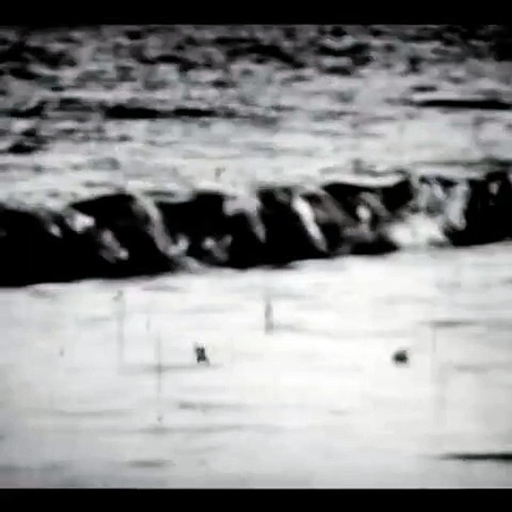 Elle se couche sur le coeur de la vague. She lies down on the heart of vagueness