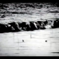 Elle se couche sur le coeur de la vague. She lies down on the heart of vagueness