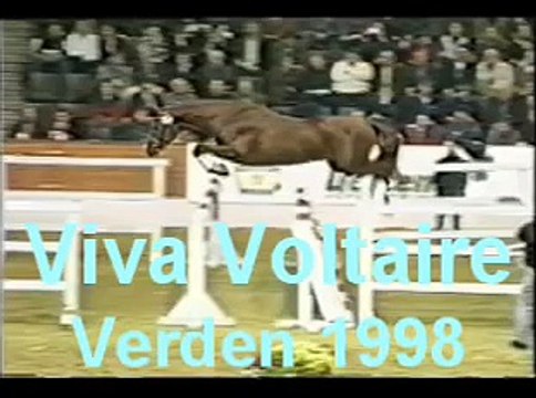 Viva Voltaire - Hanoverian stallion; Approved Canadian Warmblood