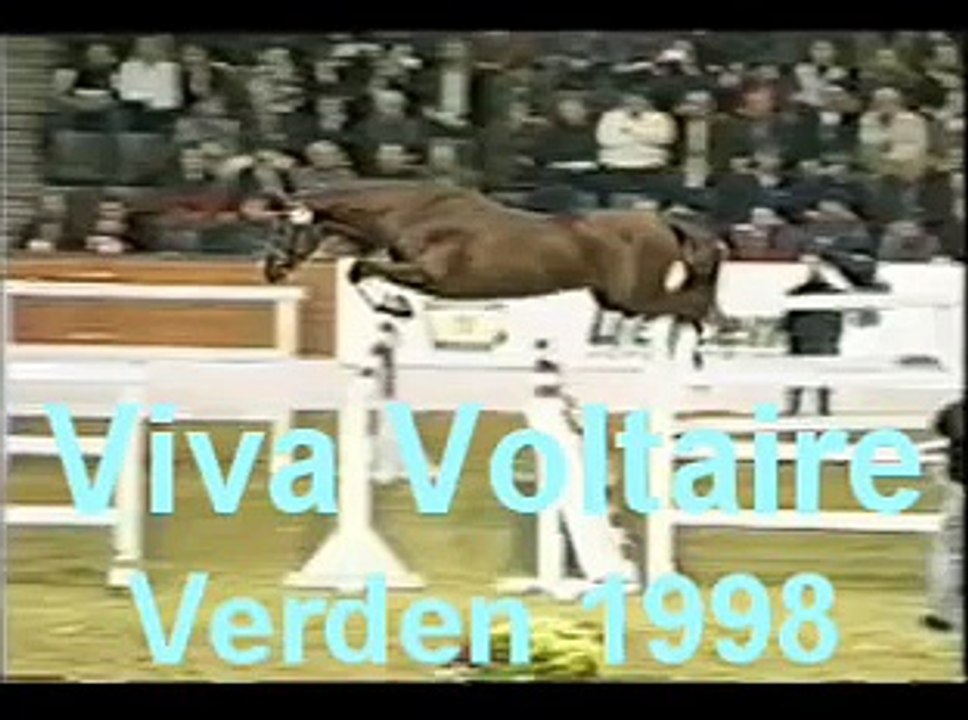 Viva Voltaire - Hanoverian stallion; Approved Canadian Warmblood