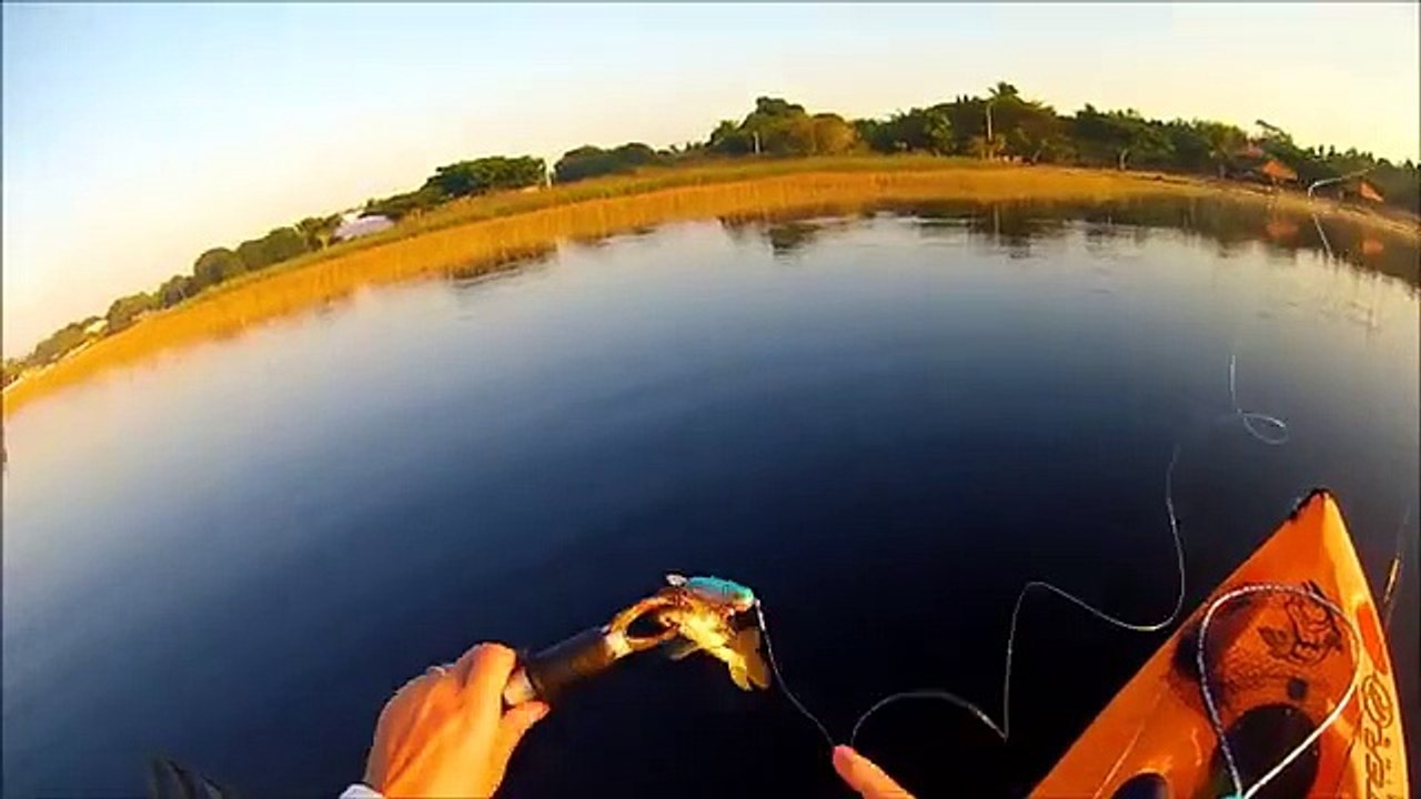 Sacadas de pescaria