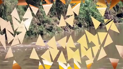 THE DEATH ROLL (Crocodile).mpg