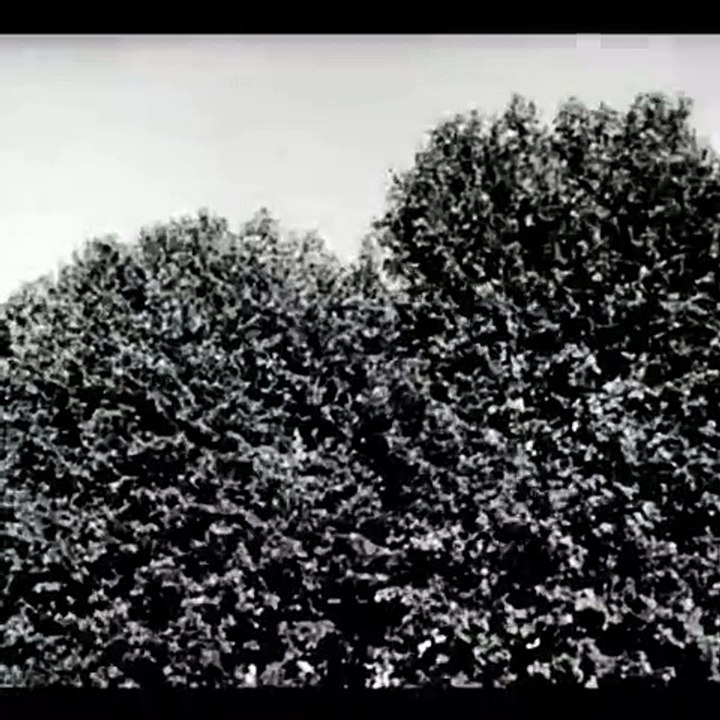 La Langue de l'Autre