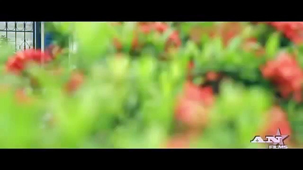 Ford Mustang GT / 2005