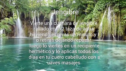 5 Opciones para eliminar las canas naturalmente.