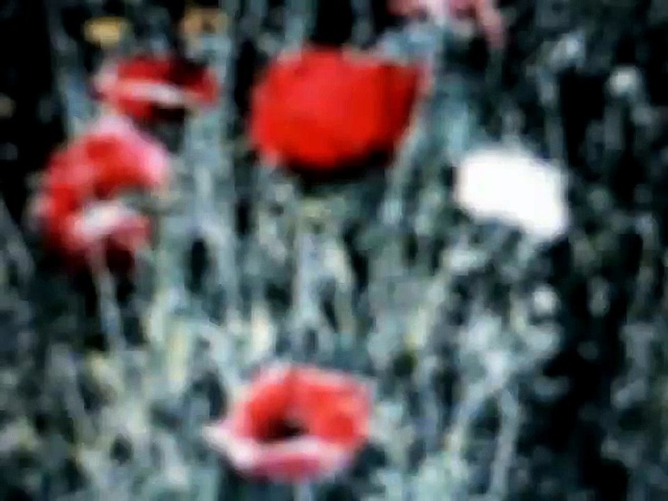 The light weren't that bright , but our eyes were so tired 2