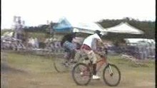 81bike