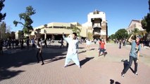 UCLA Circle K Pillow Fight 2013 Flash Mob