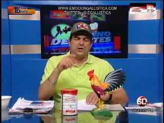 Programa-Tecnodeportes-8-julio-2015-Coliseo-Sto.Dgo