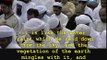 Al-Afasy: Surat Al-Kahf(Verses 45-49)--Ramdan 1428H/2007