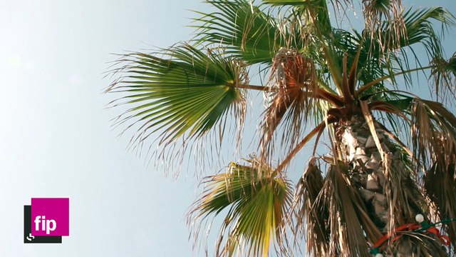 Fip au festival de Thau 2015 : Session acoustique Free River - The Voice Of Your Daughter