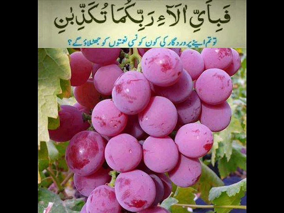 SURAH 55 REHMAN
