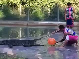 Slip and Fall,unlimited laughing video