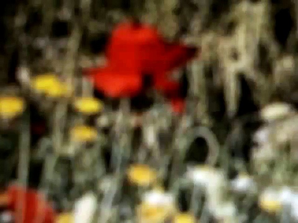 The light weren't that bright , but our eyes were so tired 1