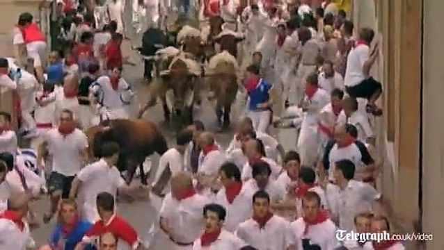 Most daring scenes of bull fighting