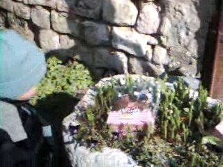 Yann à la chasse aux oeufs